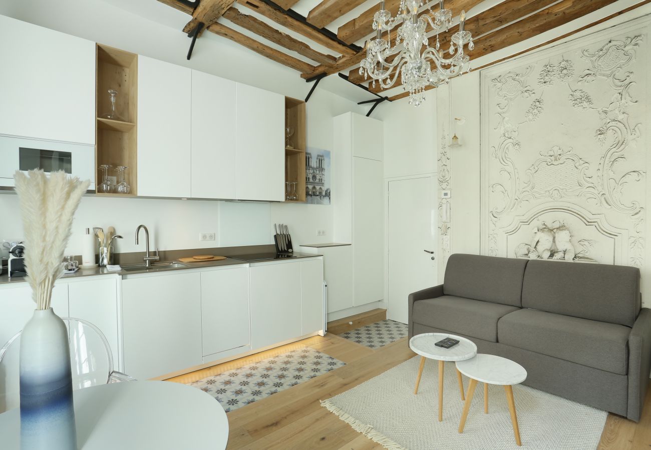 Apartment in Paris - Bourg Tibourg 2 - District Le Marais