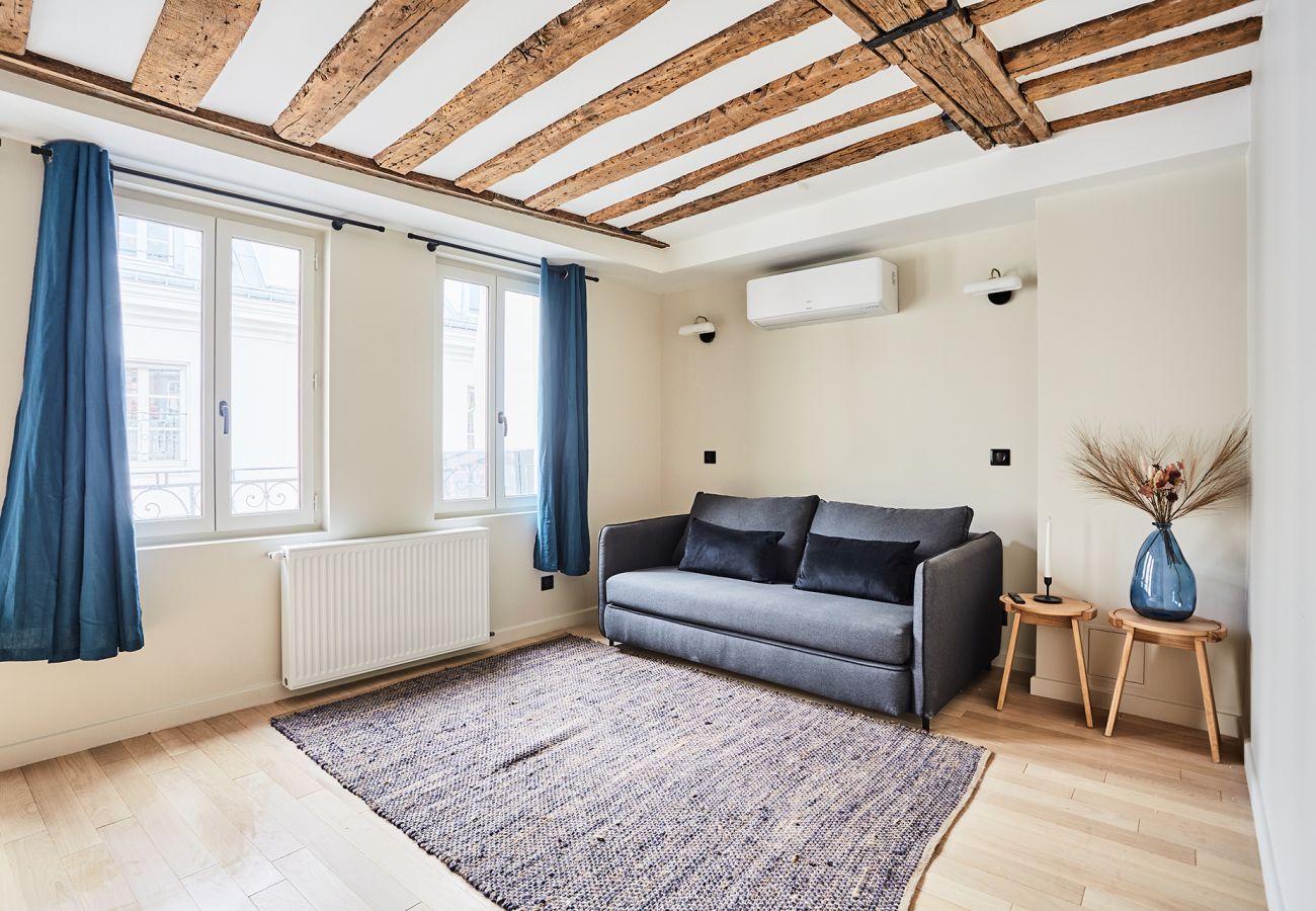 Apartment in Paris - ABOUKIR 105 9